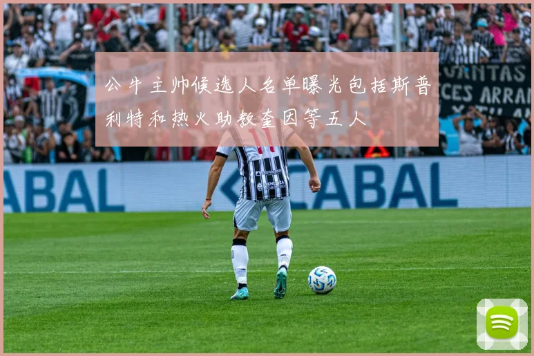 公牛主帅候选人名单曝光包括斯普利特和热火助教奎因等五人